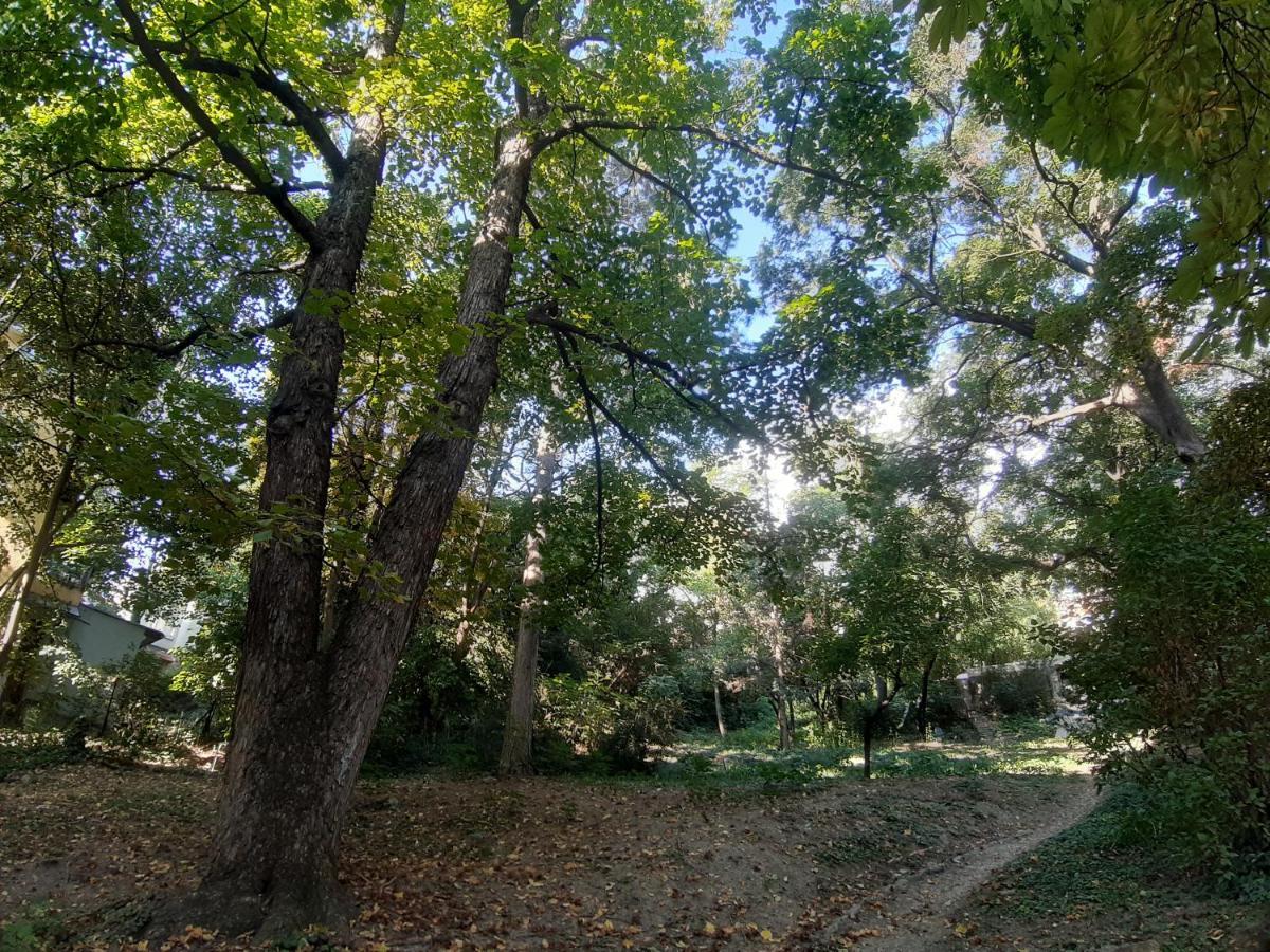 בודפשט Green Hill Apartment מראה חיצוני תמונה